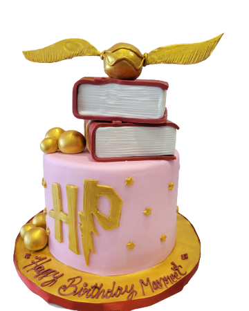 MANREET HARRY POTTER FONDANT CAKE