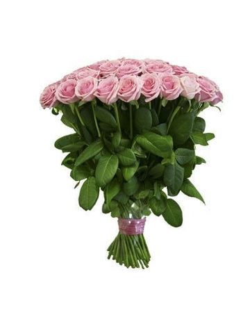 Only Pink