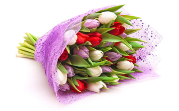 Mixed Tulips Bunch