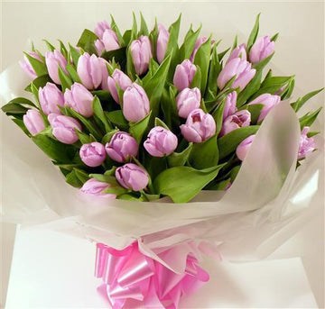 Purple Tulips Bunch