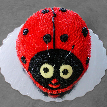 Lady Bug