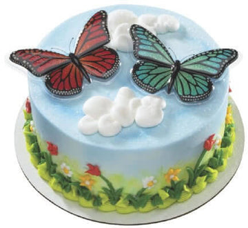 Butterfly Cake