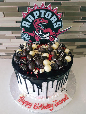 JASMEET Raptors Cake