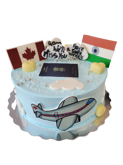 CANADA TO INDIA PLANE CAKE