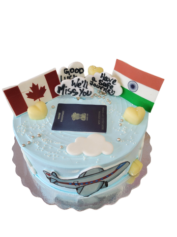 CANADA TO INDIA PLANE CAKE