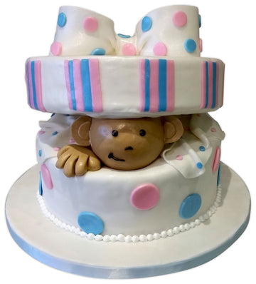 Monkey Gift Box Cake