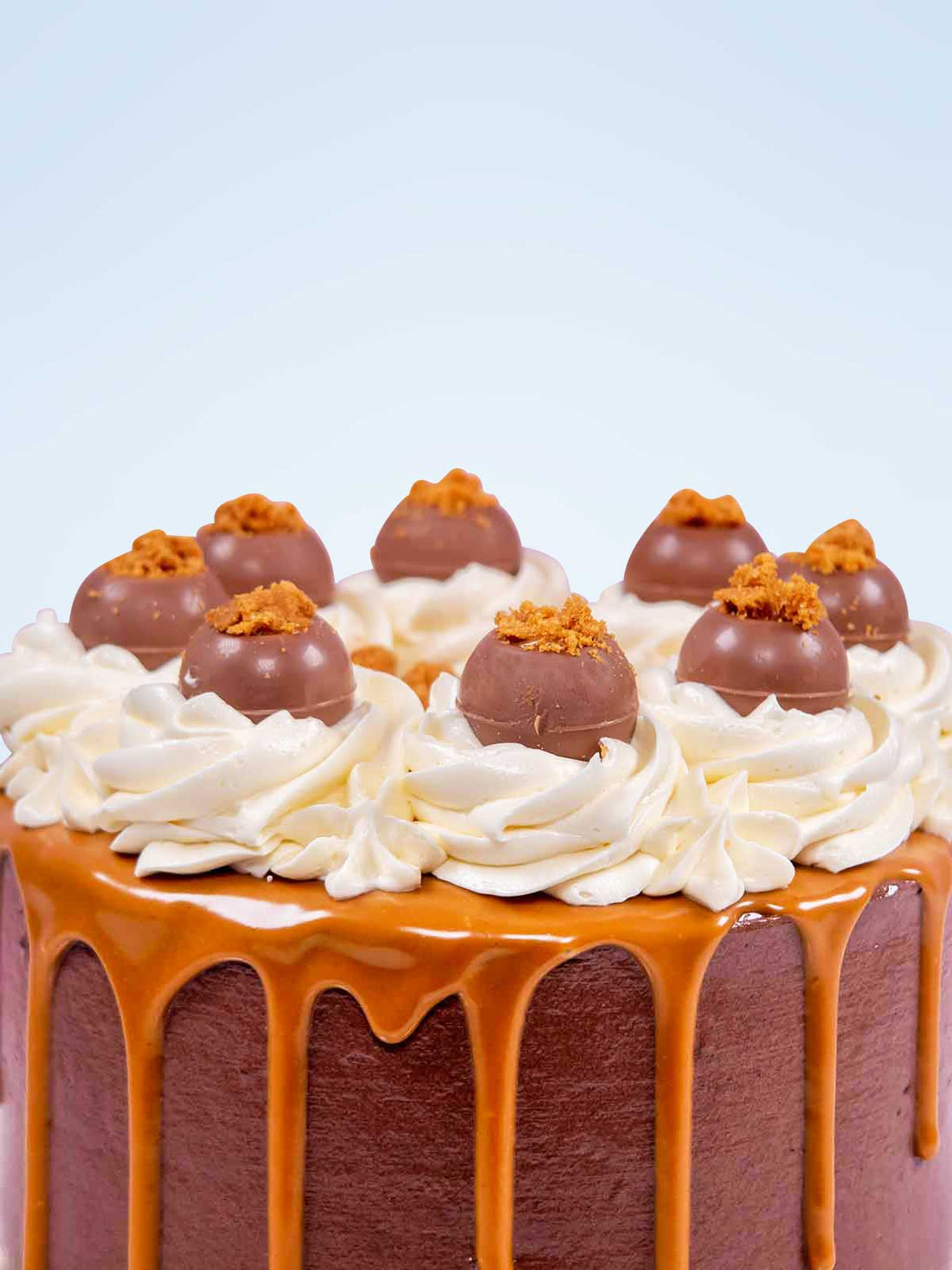 Biscoff Truffle Cake