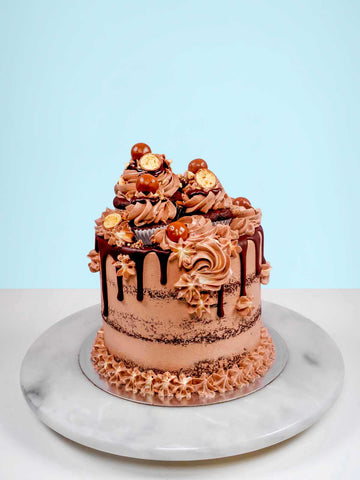 Chocolate Malt Milkshake Cake