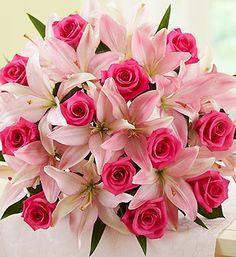 Red And Pink Beauty