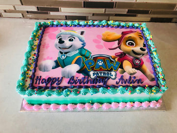 Skye & Everest Paw patrol cake