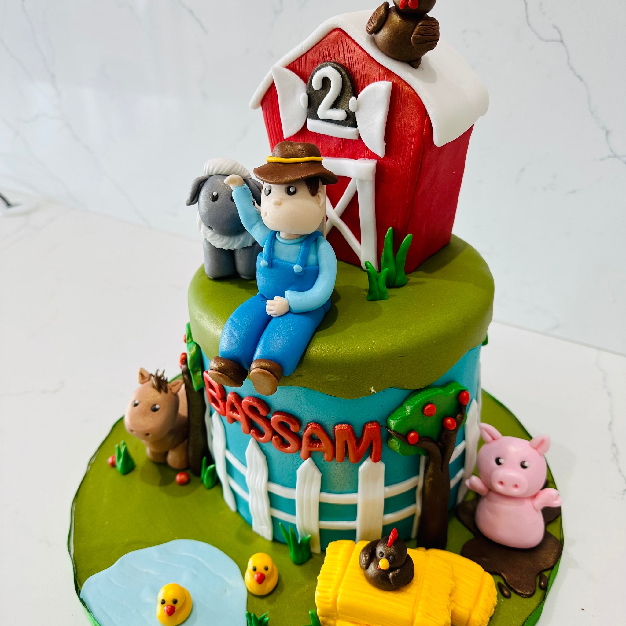FARMER & ANIMALS FONDANT CAKE