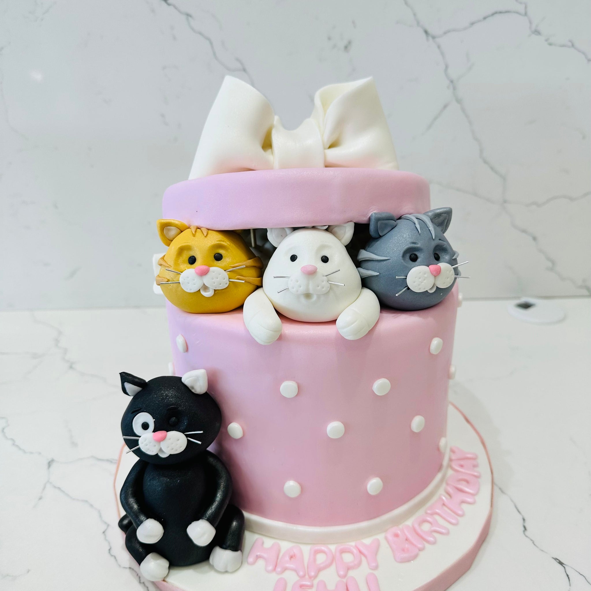 CAT GIFT BOX FONDANT CAKE