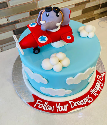 ELEPHANT AEROPLANE FONDANT CAKE