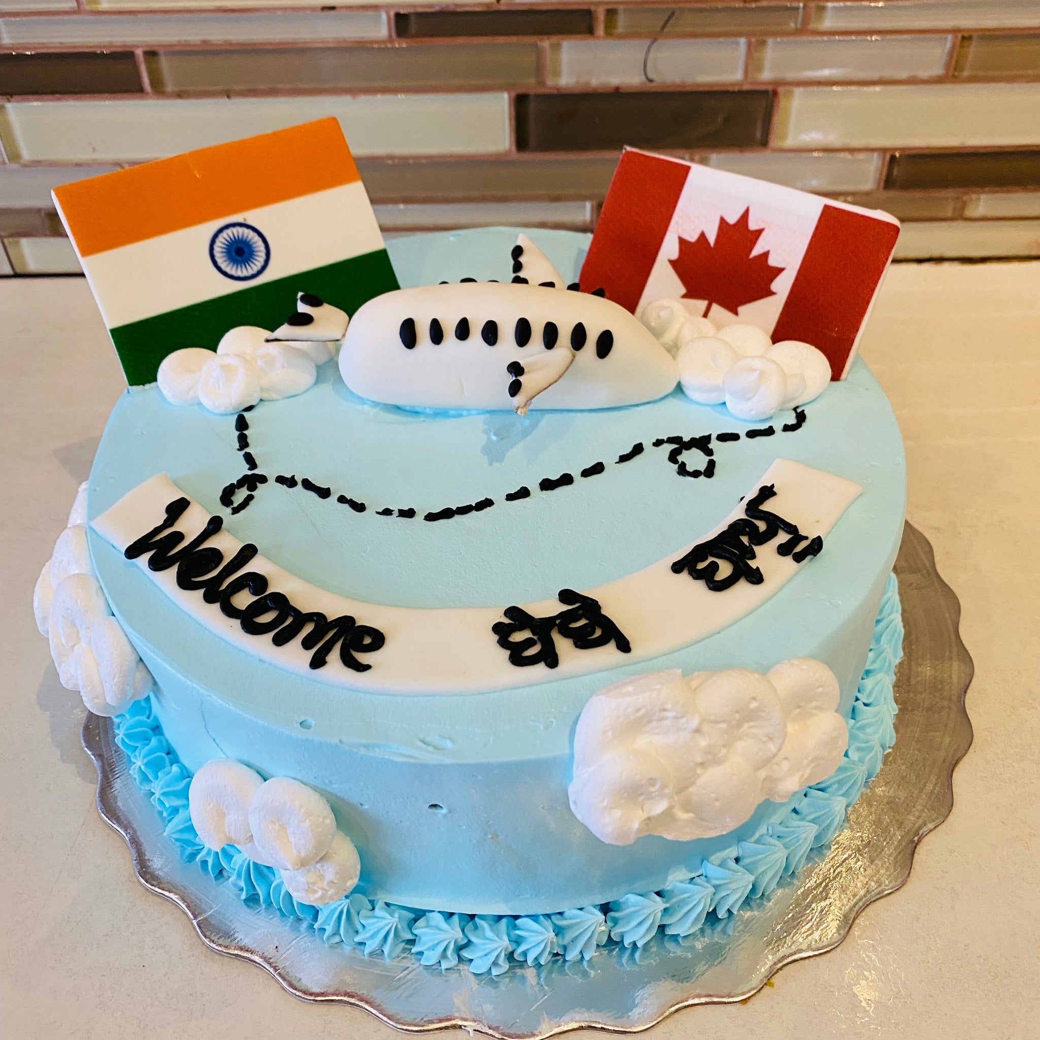 INDIA TO CANADA PLANE CAKE