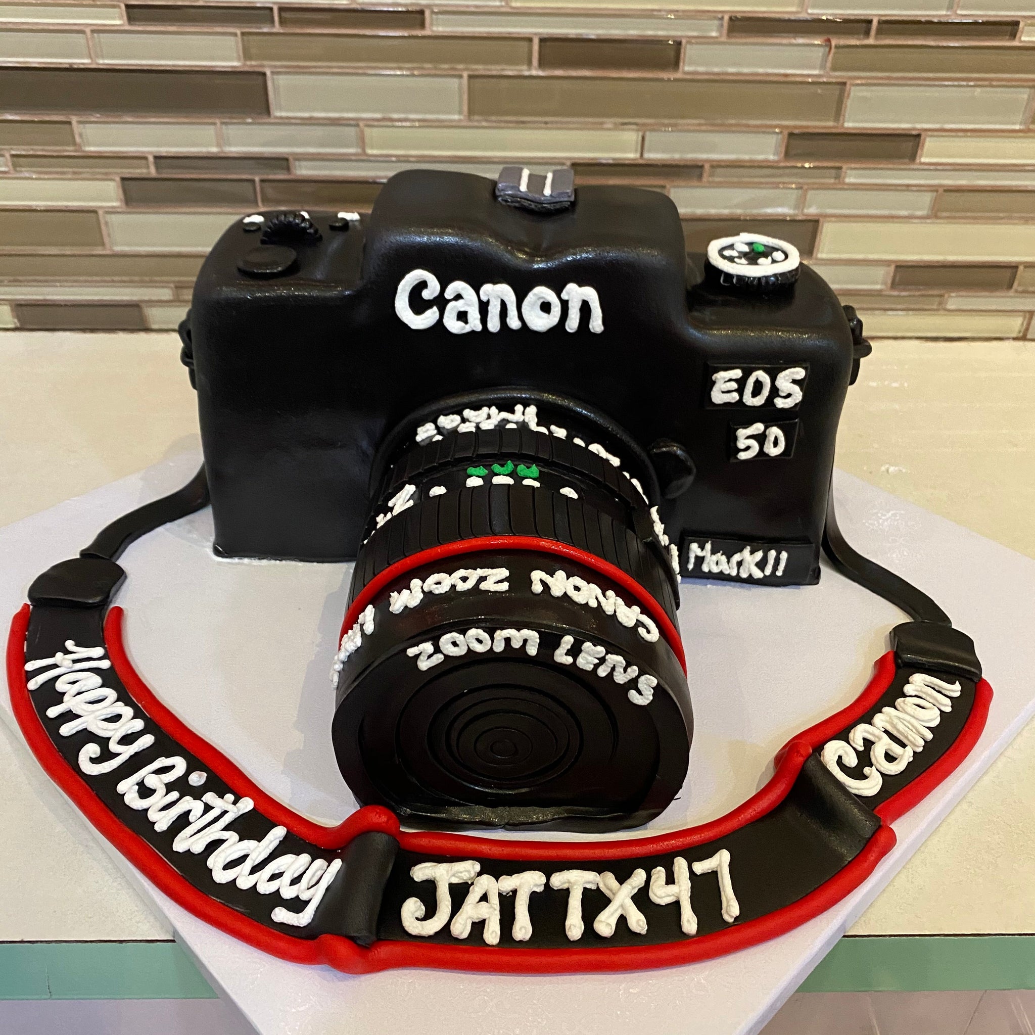 3D CAMERA MOLDED CAKE