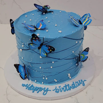 Benjamin Butterfly Birthday Cake