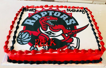 Raptors  Photo cake