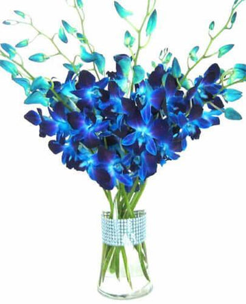Only For You