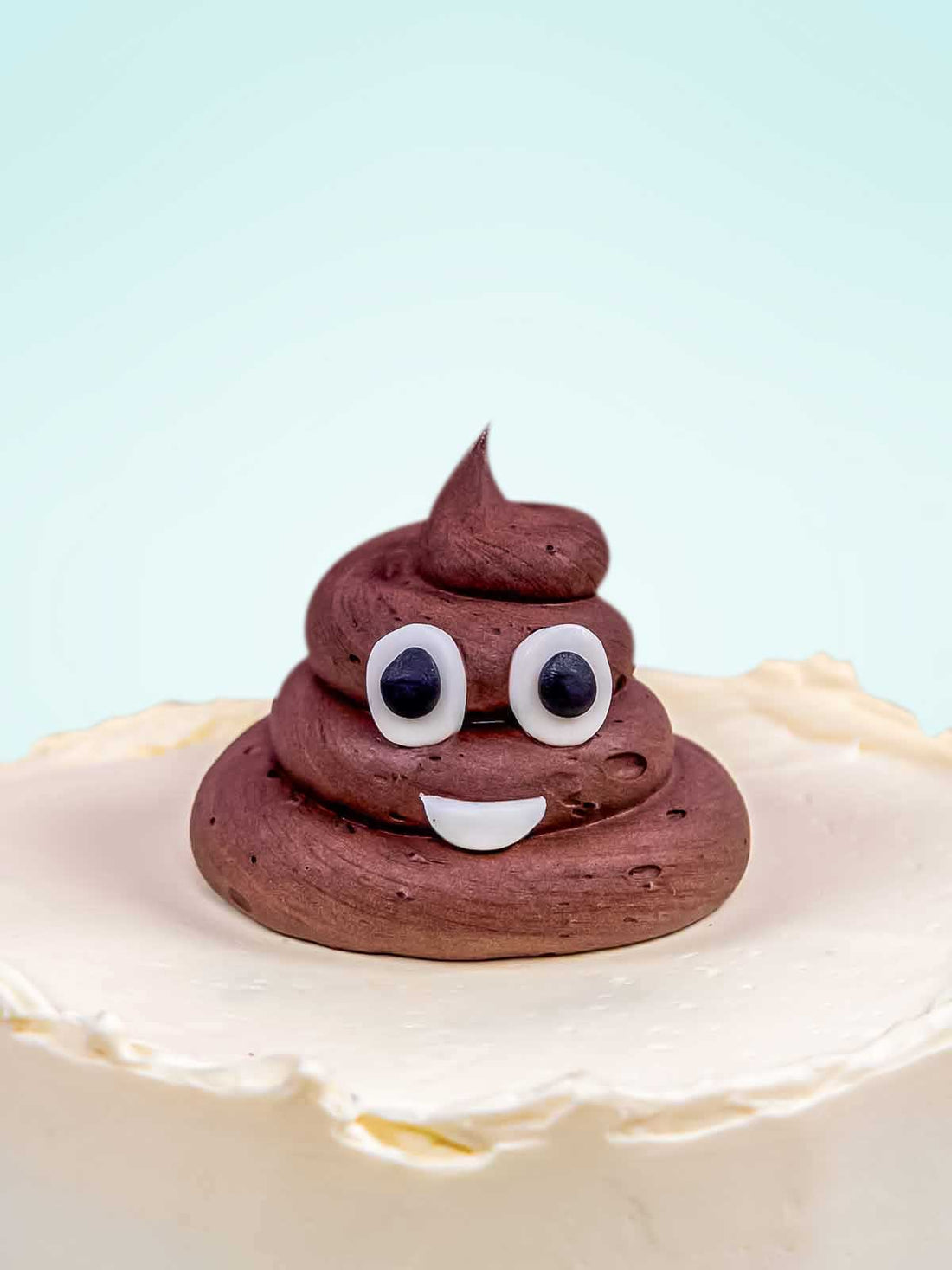 Poo Cake