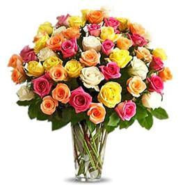 Vibrant Roses