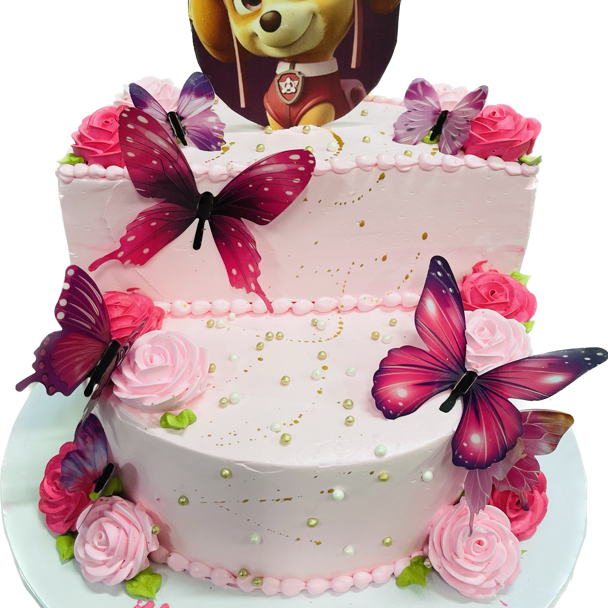 PAW PATROL STAGE CAKE
