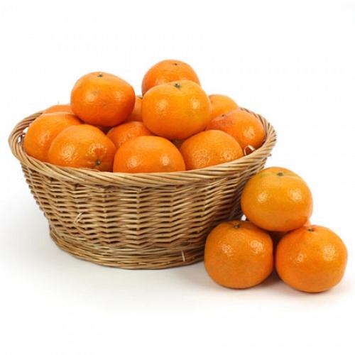 Orange Treat