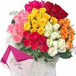 Rainbow Roses