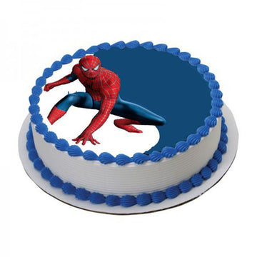 Ready To Fight Spider Man Theme Cake